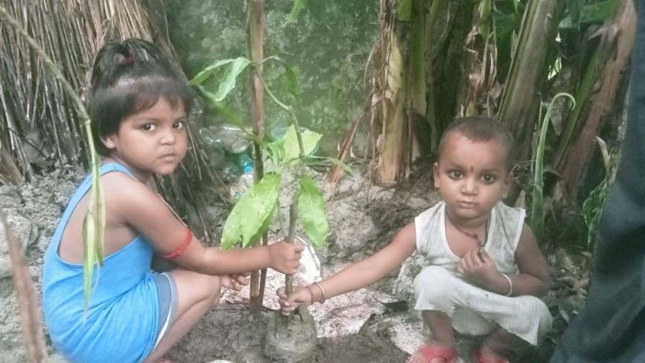 Tree-july-14